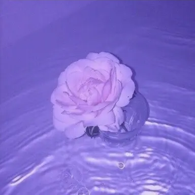 Profile image of 수현