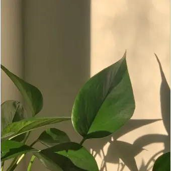 Profile image of 정형준