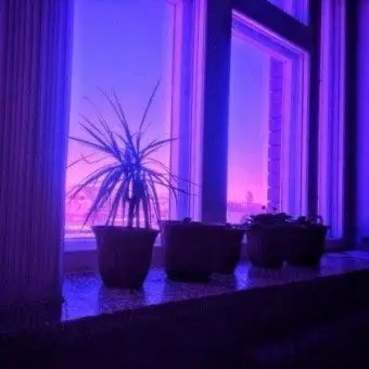 Profile image of 황수현