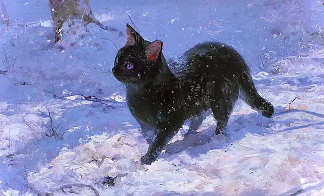 Profile image of Elio