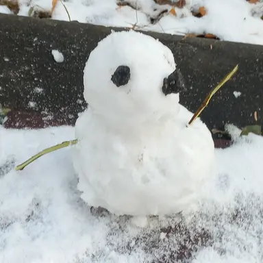 Profile image of 겨울신화