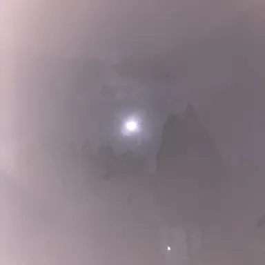 Profile image of バニーガーデン店員