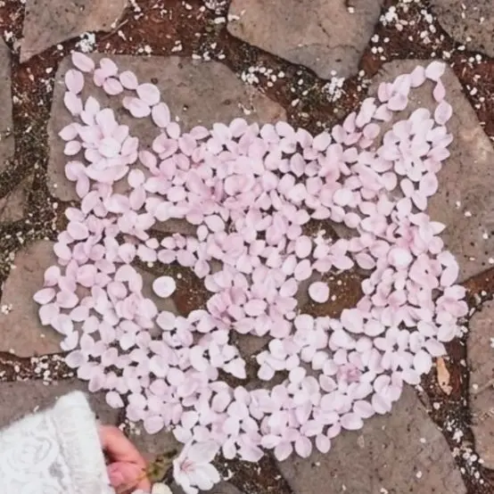 StubbyRuler1390의 강영현