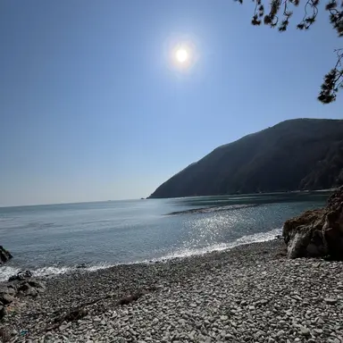 Profile image of 이채운