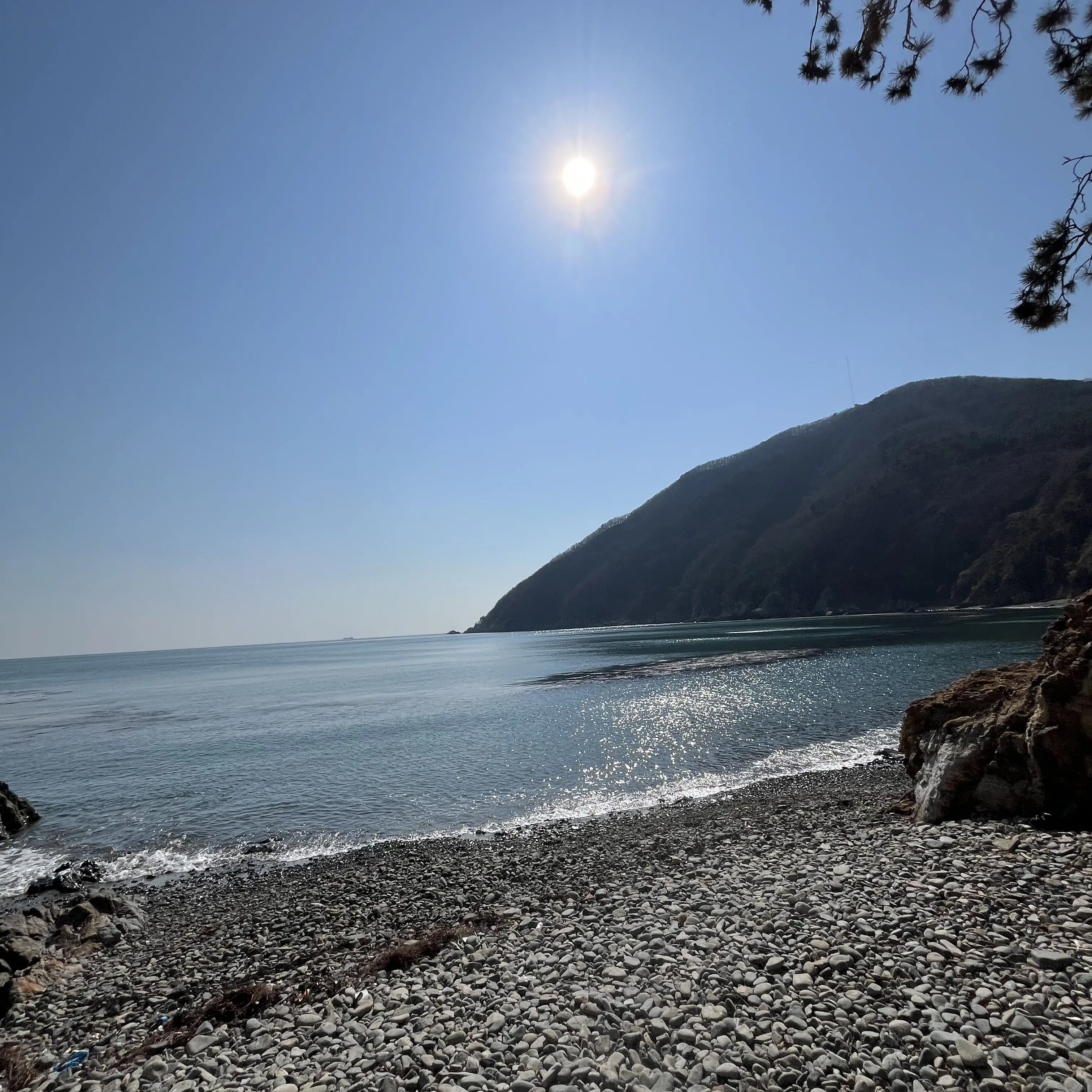 EggySpicy7160의 타제고등학교