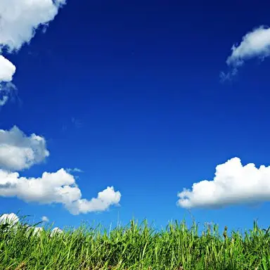 Profile image of 八雲紫