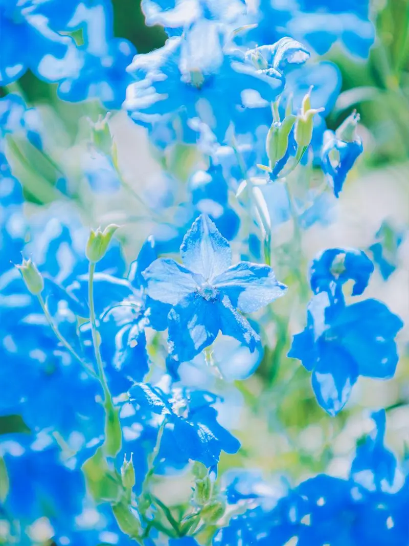 hiru_yeonhi의 本当に素敵な6月でした