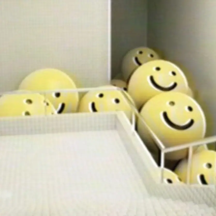 panda666의 最後の希望