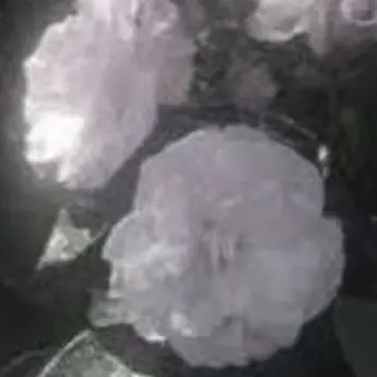 Profile image of ちぐさ