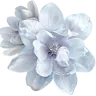 Profile image of 늑대