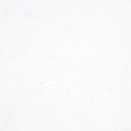 enikyu_1778의 공파리파