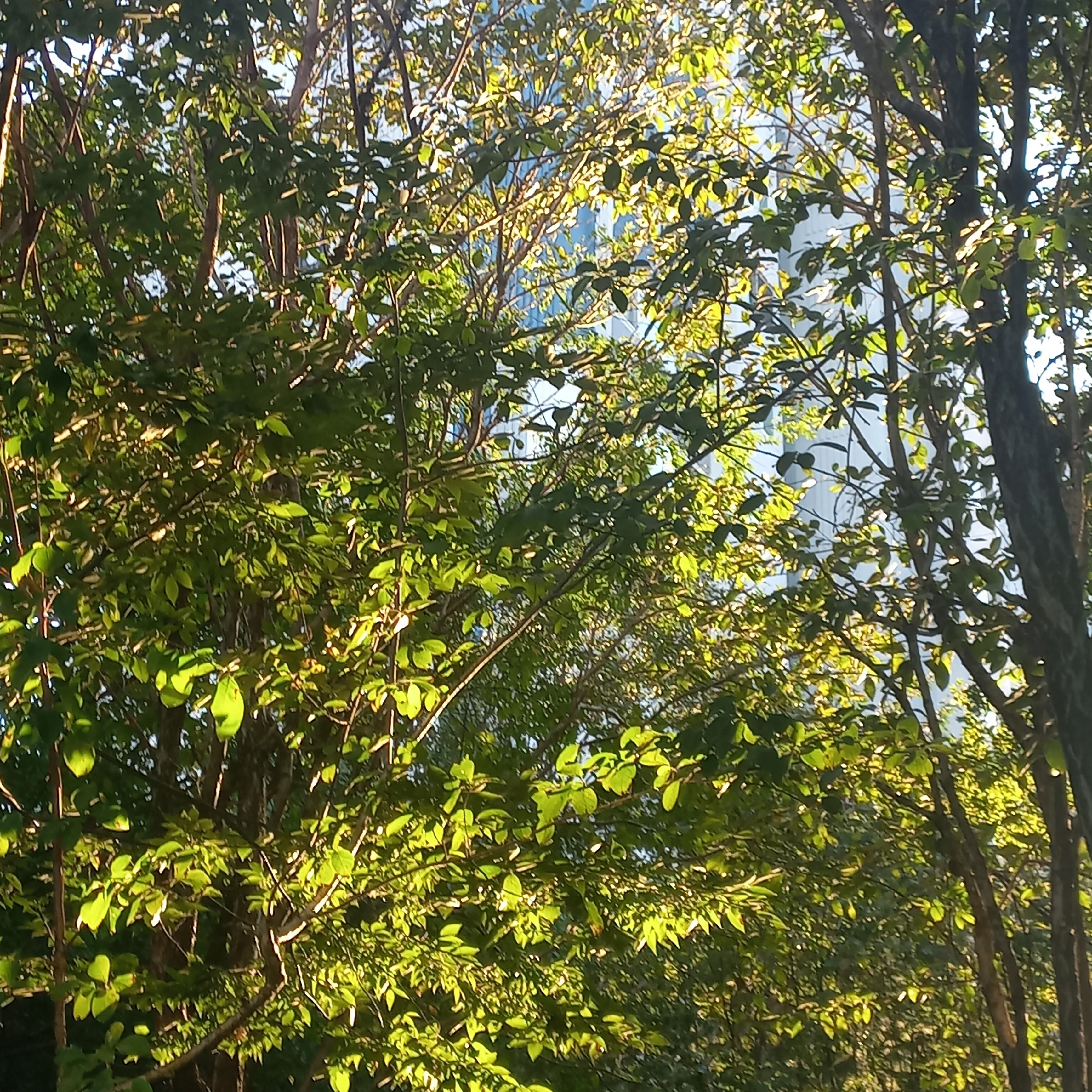 선생님