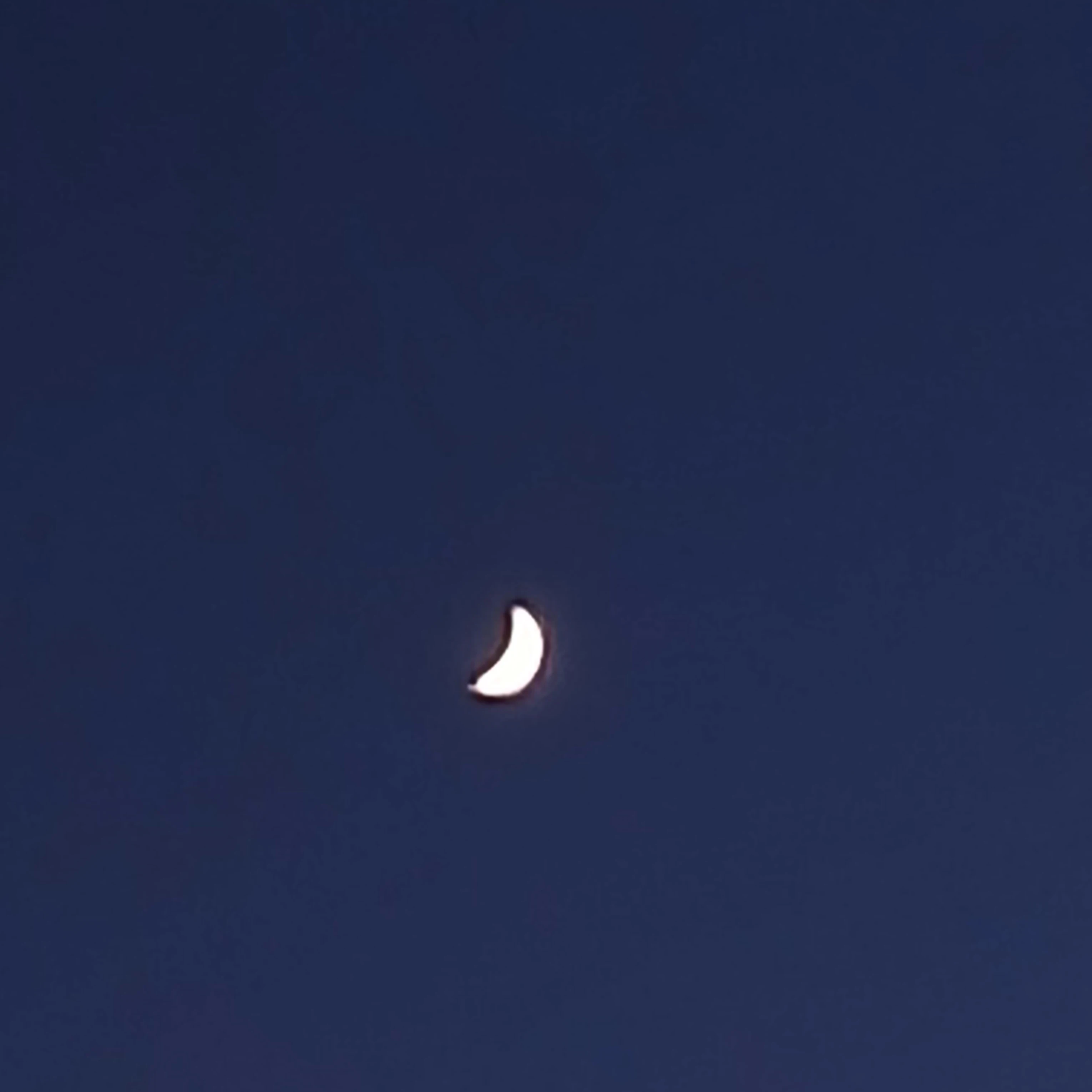 잠뜰
