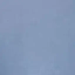Profile image of .