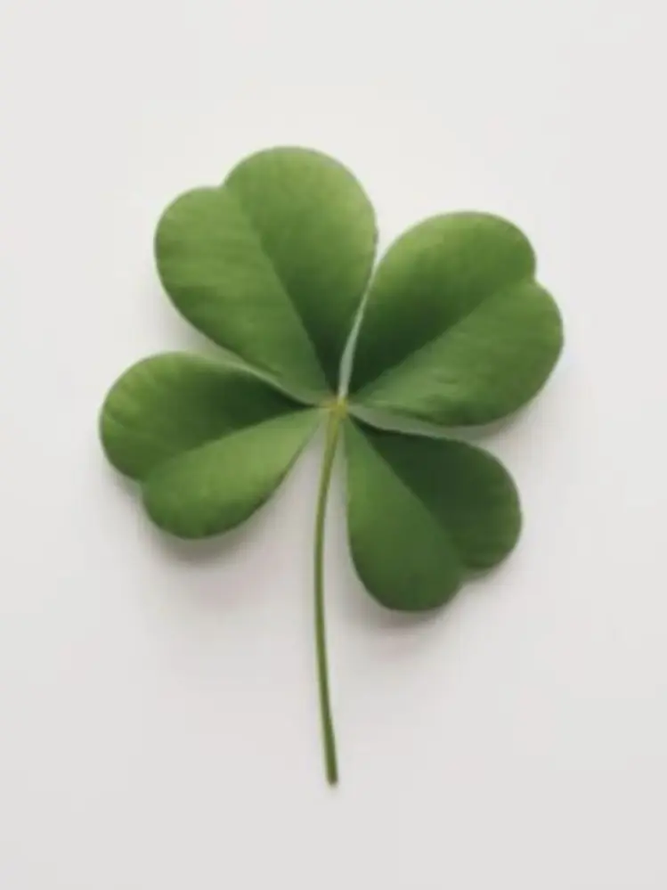 MeltyDrums7769의 의사 선생님이 자꾸 들이대요.