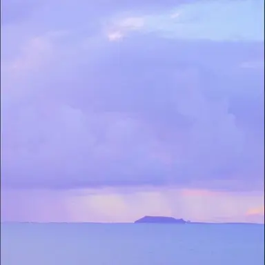 Profile image of 당찬