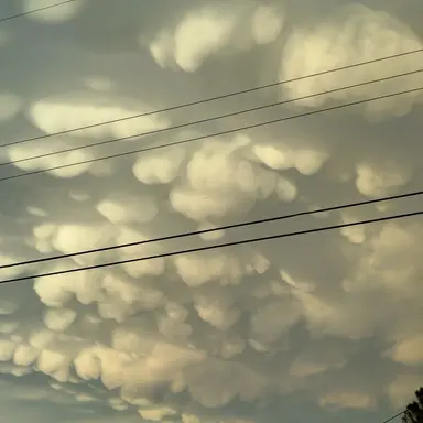 Profile image of Celestia Vance