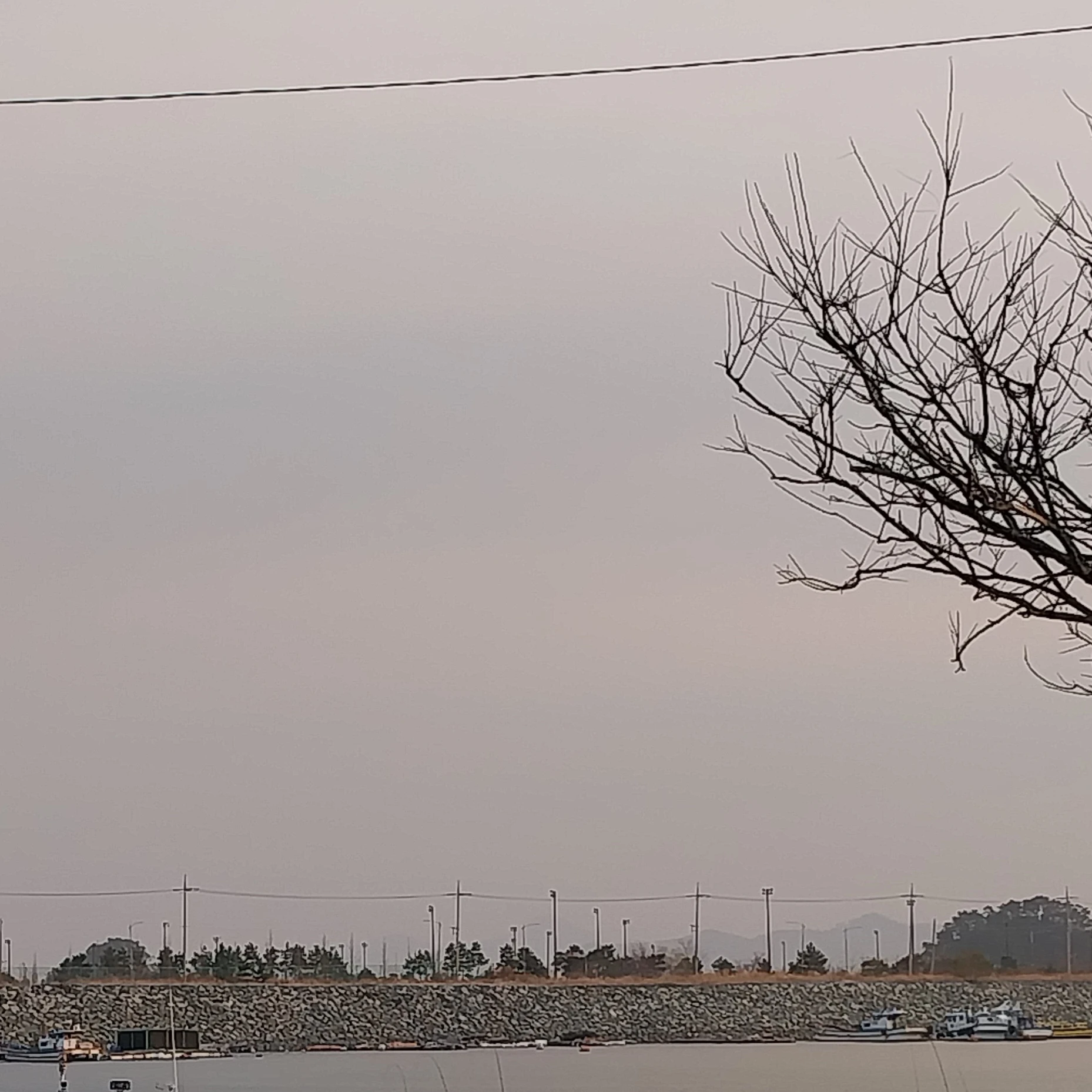 최슨철