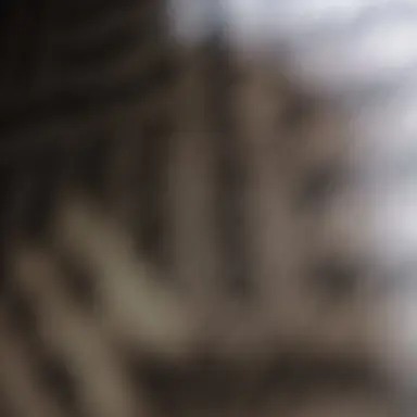 Profile image of 흑잼민