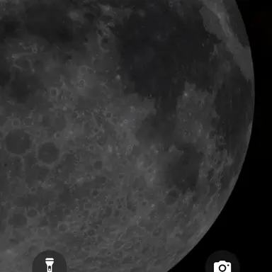 Profile image of 유기사