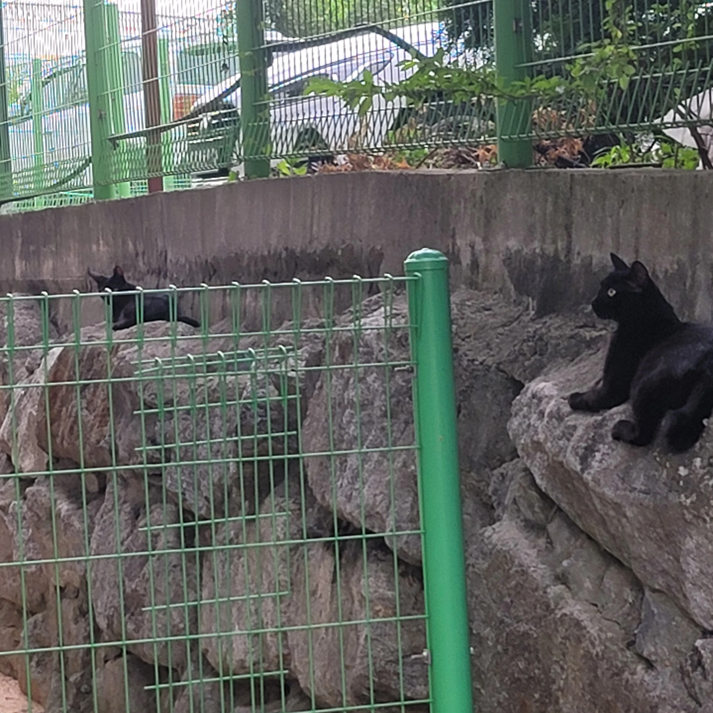 권.순.영