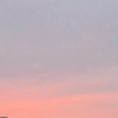 ShortDhole2648의 전지적 리바이 시점