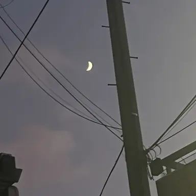 Profile image of 나베리우스 카르에고