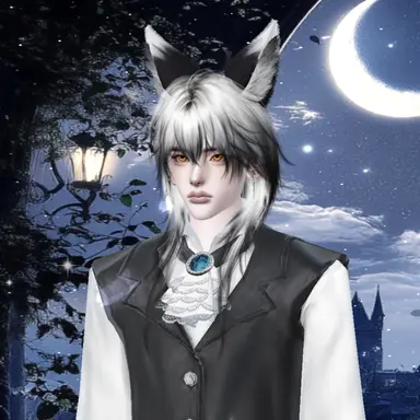 Profile image of 루안 베르디르