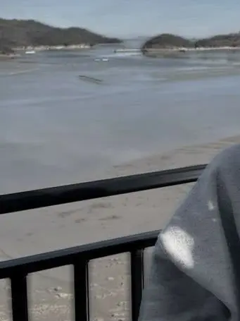 -skz.99의 狐を拾ったら─