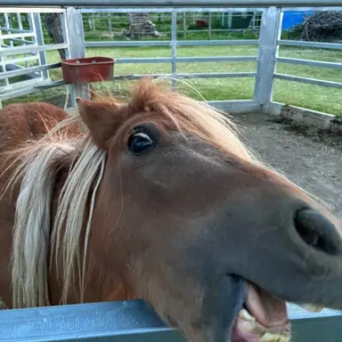 Profile image of 장 키르슈타인