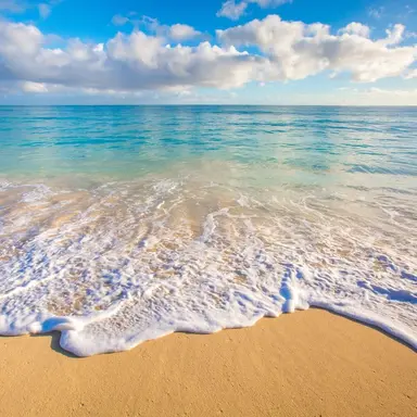 Profile image of 아르민 알레르토