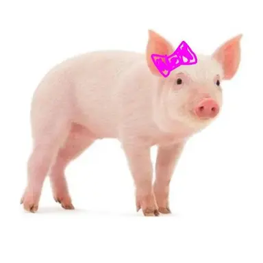 Profile image of 최정희