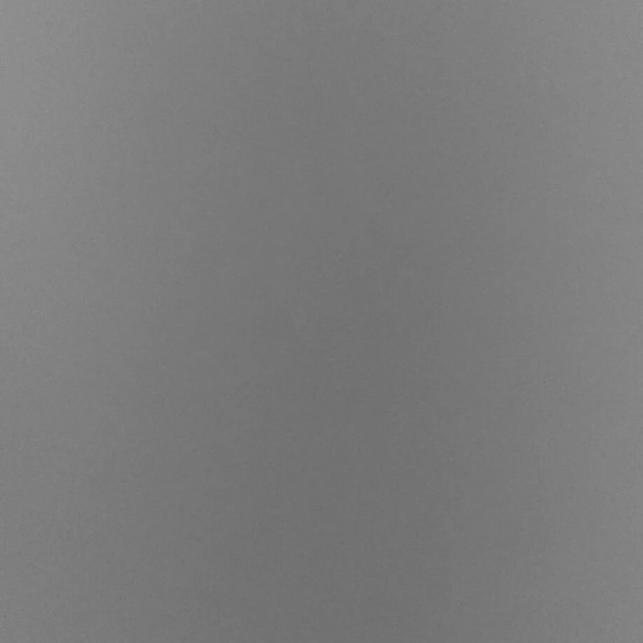 아이돌 서바이벌(프류두스)