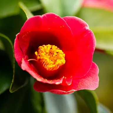 Profile image of 라더