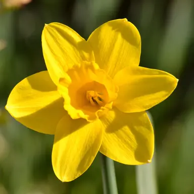 Profile image of 각별
