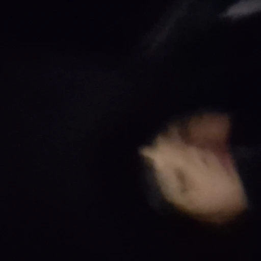 니남친