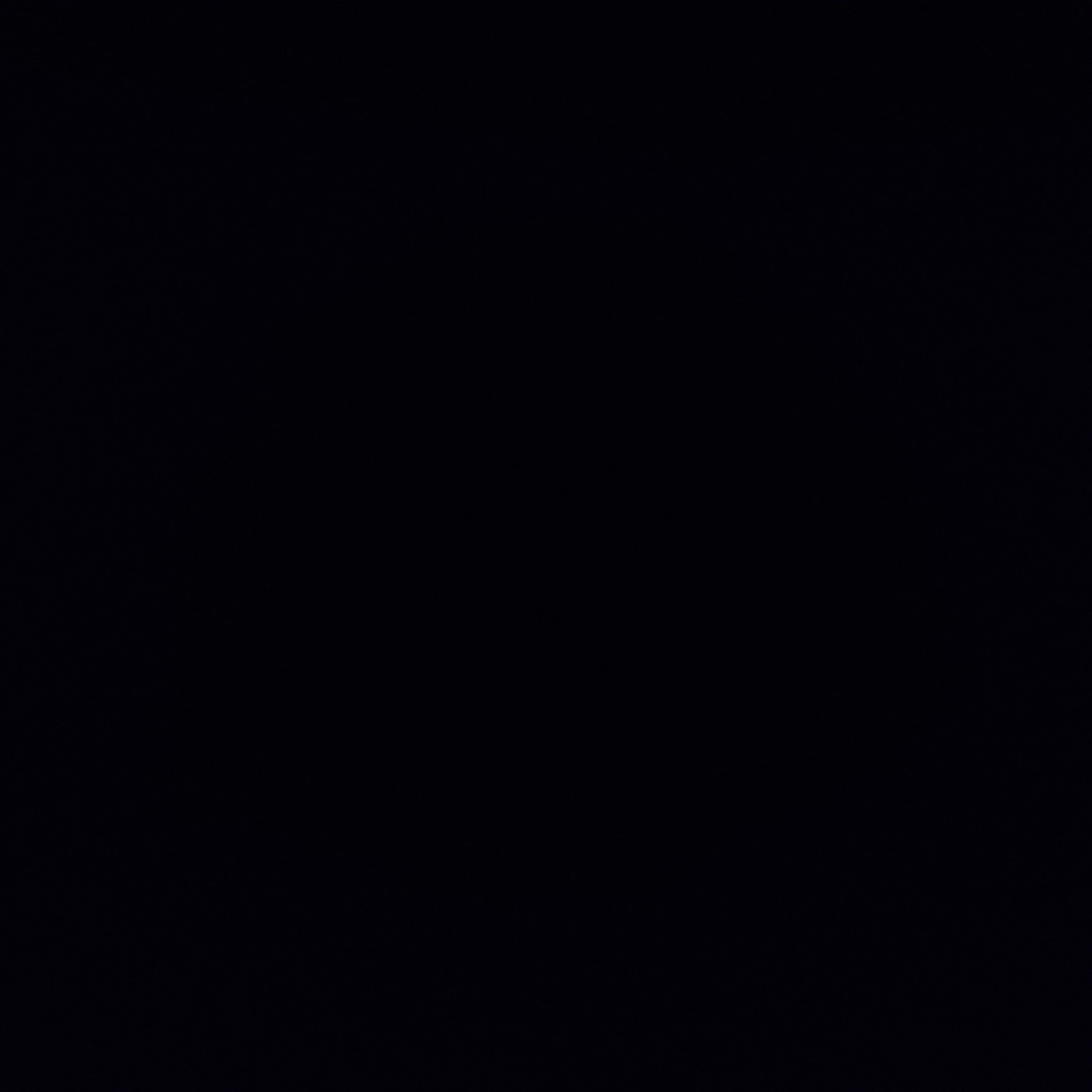 양정인