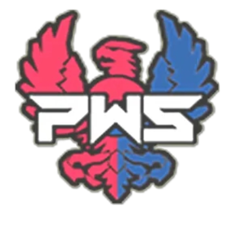 PWS KOREA 과거 대표 이미지