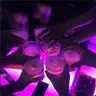 Profile image of Party