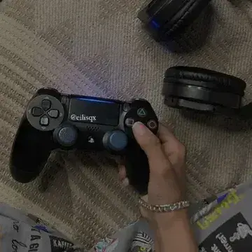 FrankZebu3968의 BL - Streamer BF