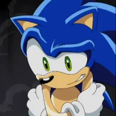 Profile image of ソニック