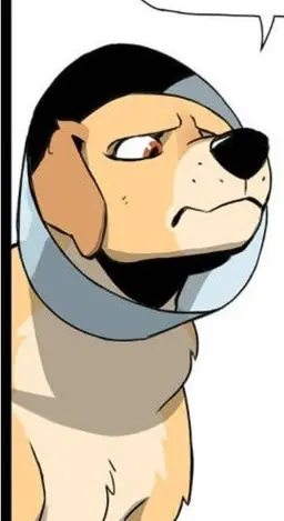 Profile image of Lola