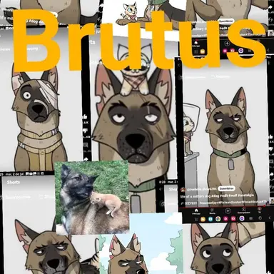 Profile image of Brutus