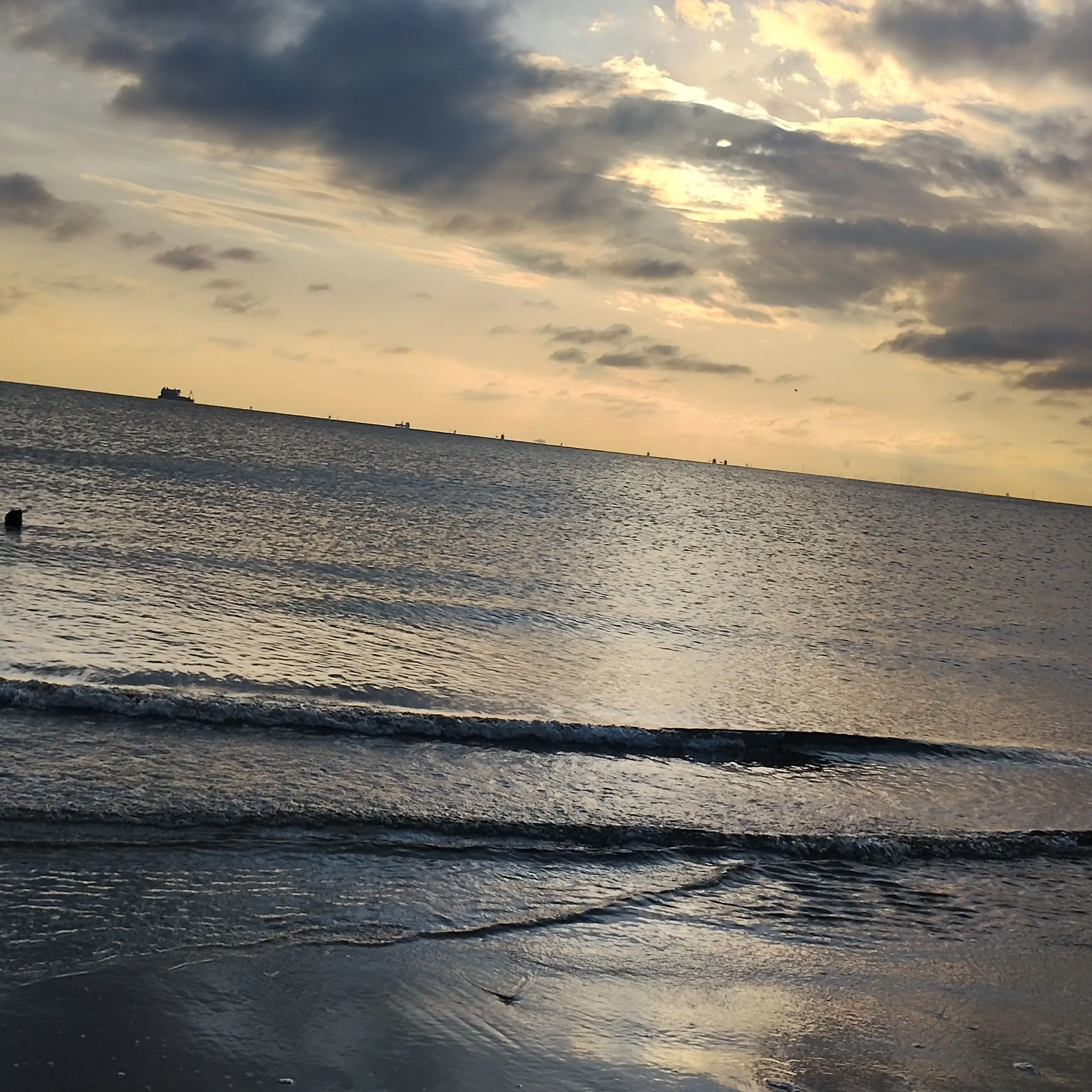 sabasaba의 キャラメルバニラって美味しいよね