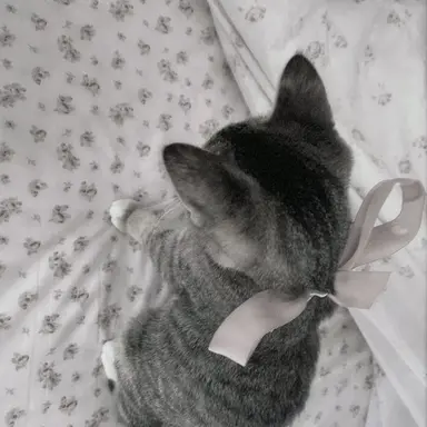 Profile image of ゆうし