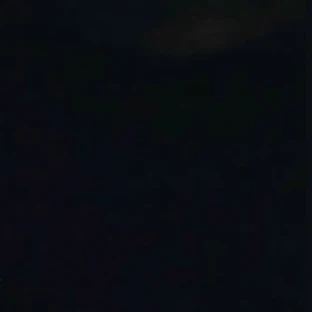한지성