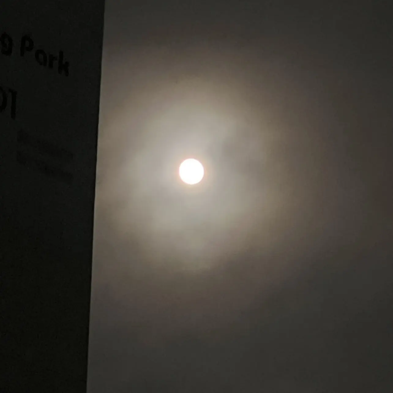 Mushroom1210의 개인용