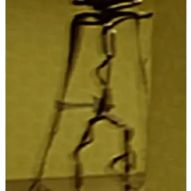 Profile image of The Lifeform