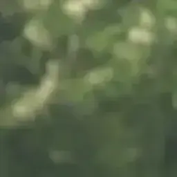 Profile image of 이지훈