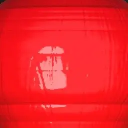 Profile image of レディ